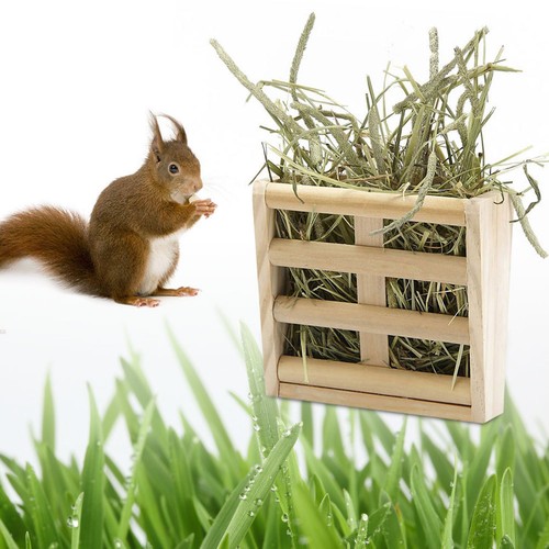 Petits animaux cage - petits,