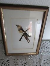 3 tableaux en ailes de papillons - origine Congo-fleur-oiseau et femme africaine