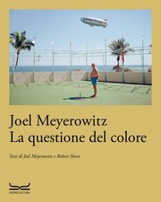 Robert Shore Joel Meyerowitz La questione del colore (Poche)