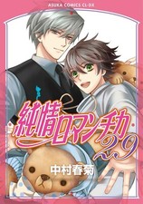 Junjou Romantica #29 | JAPAN BL Comic Book Manga Boys Love Yaoi