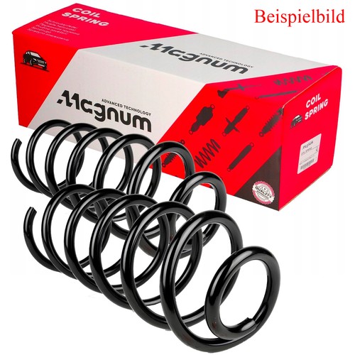 Magnum technology - 2x,