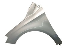 Aile Gauche Polarsilver 761