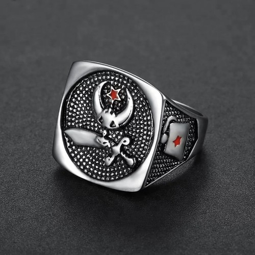 Bague acier inoxydable pour - en,