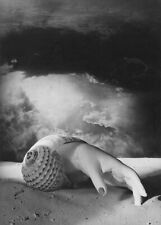 DORA MAAR SHELL MAIN
