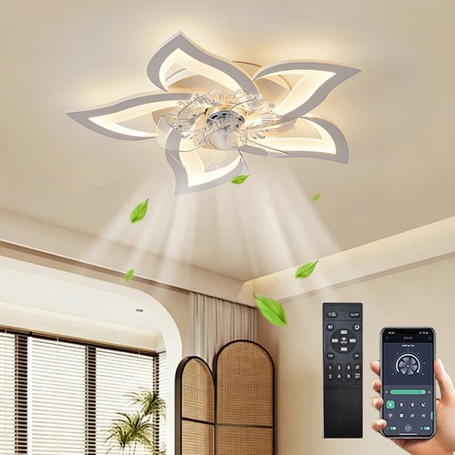 Plafond lampe avec - avec, ventilateur