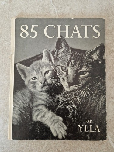 Chats par ylla dominique - 85,