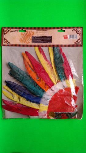Coiffe indien plumes - à,