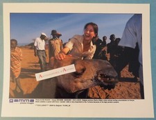 ● Marie GILLAIN actrice belge photo presse 2001 Kenya Chameau dromadaire Afrique