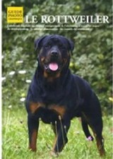 Le Rottweiler, Filippo