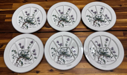 6pcs villeroy boch - boch, botanica