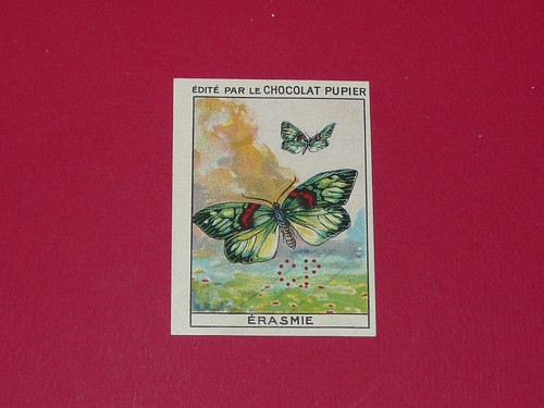 Chromo pupier 1930 - chromo, album