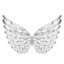 Lot de 2 appliques en forme