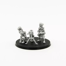 Vostroyan mortar team