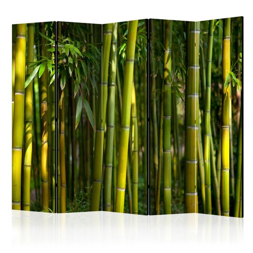 Paravent volets oriental - paravent, 5