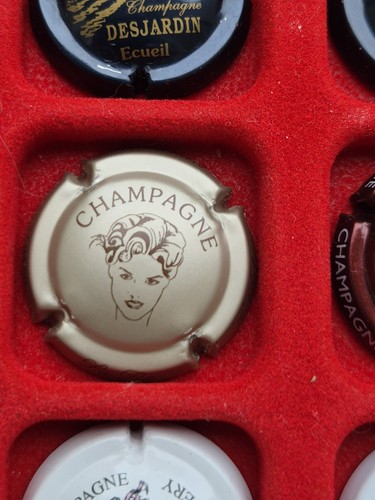 Capsule champagne fee - capsule,