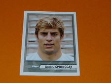 N°80 SPRINGGAY AVIRON BAYONNE