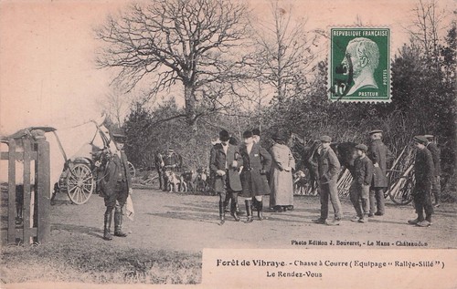 Carte postale ancienne - , foret