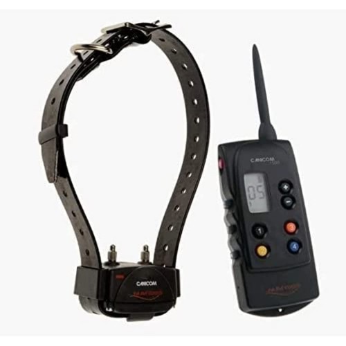 Ensemble dressage distance - dressage, a