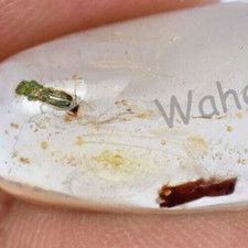 10.95 CT 100% Naturel Jaune