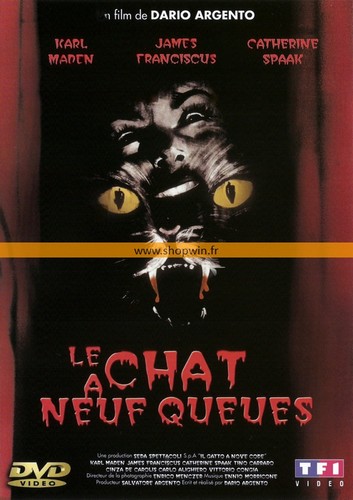 Chat neuf queues - chat,