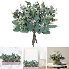 Lot de 10 tiges d'eucalyptus