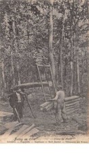 89. n°55480.bussy en othe.dans la foret.scieur de long