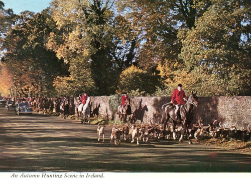 Carte irelande autumn - carte,