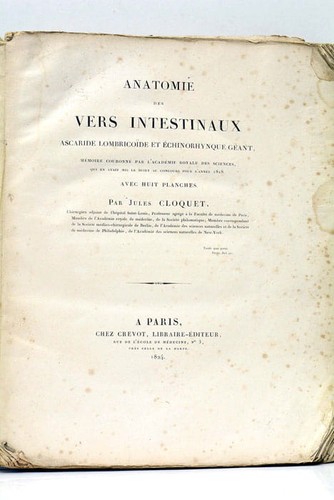 Anatomie des vers intestinaux - des,