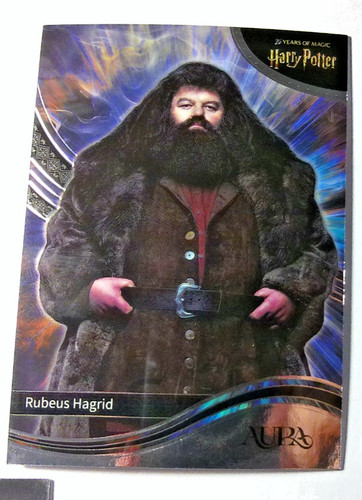Harry potter kakawow years - potter, 25