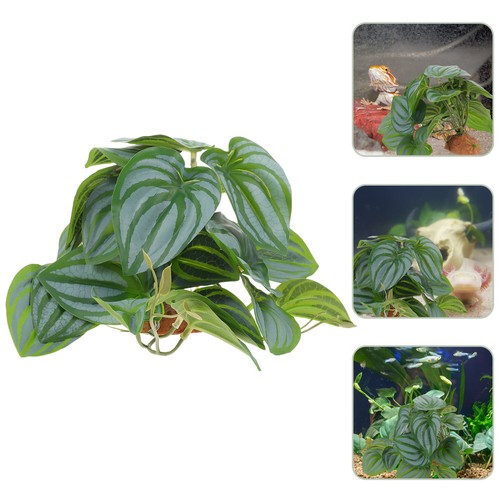 Plantes artificielles - plantes,