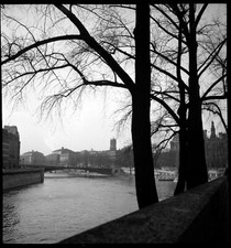 Paris bord de Seine quai arbres - lot 2 anciens négatifs photo an. 1950