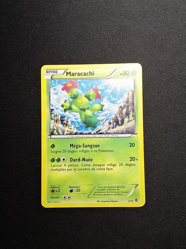 Holo maracachi 12 - maracachi, 2/12