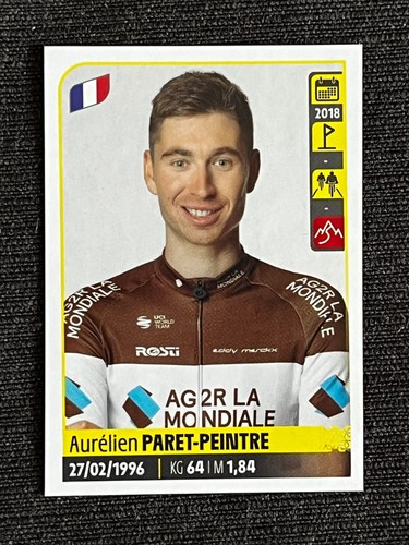 Sticker panini paret peintre - sticker,