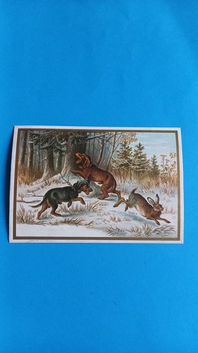 Chromo chasse chien et - chasse,