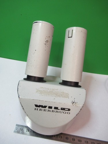 Tête microscope - tête,