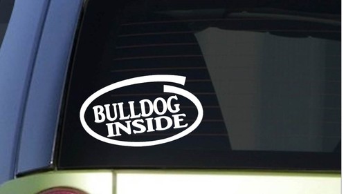 Bulldog inside i271 - bulldog, 8"