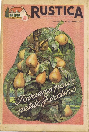 Rustica 1955 poiriers - rustica,