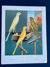Antique 1870s Chromolithograph