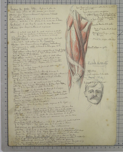 Ancienne illustration - ancienne,