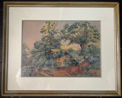 Belle aquarelle encadrée
