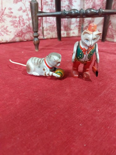 Chat botté joustra - joustra, a