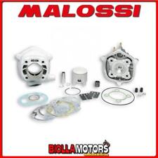 318460 CYLINDRE KIT MALOSSI