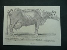 GRAVURE de 1856.. Vache