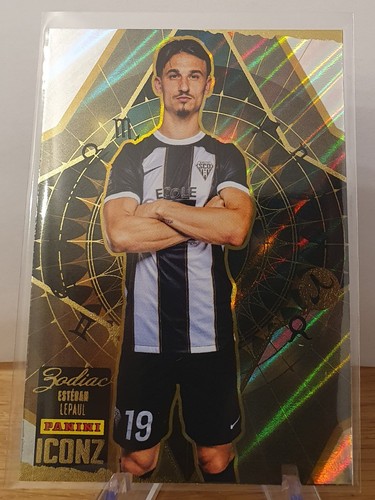Panini iconz 2024 2025 - iconz, 2024-2025
