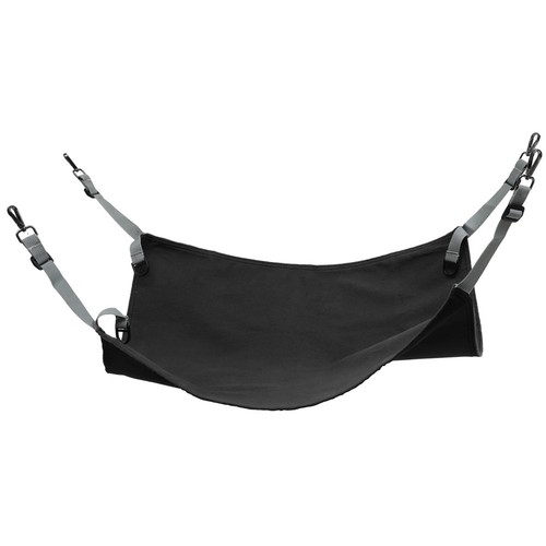 Chat compagnie lit - compagnie,