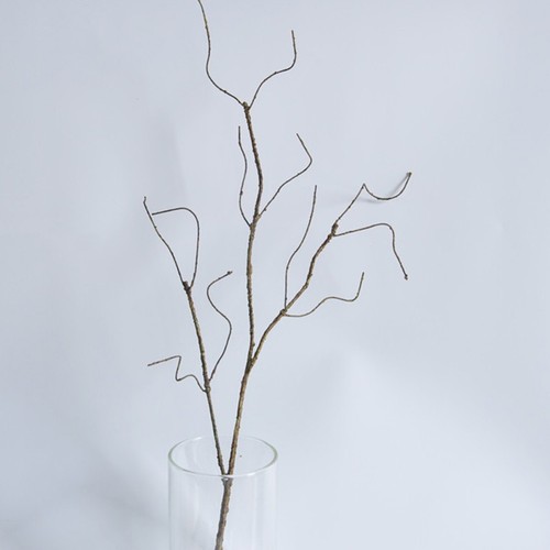 Fausse plante vigne - fausse,