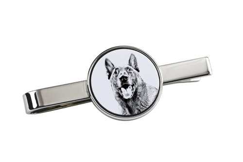 Malinois chien berger belge - malinois, de