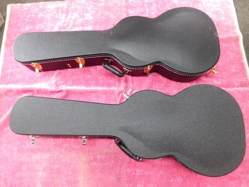 Parlor guitar case - guitar,
