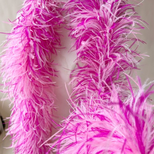 Boa plumes oie - plumes, d’oie
