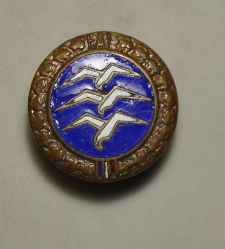 Aviation boutonnière brevet - boutonnière,